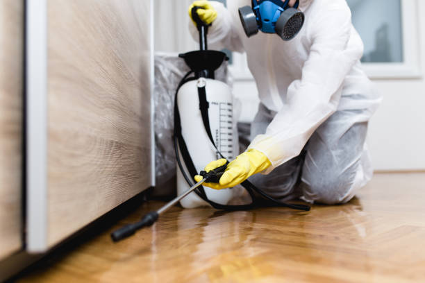 Best Commercial Pest Control Services  in Sarand, AL