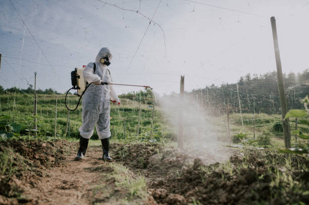 Best Pest Removal Services  in Sarand, AL