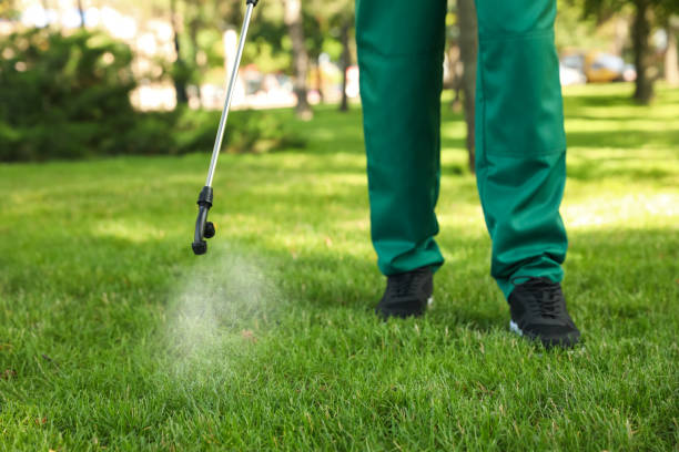 Best Wildlife Control Services  in Sarand, AL