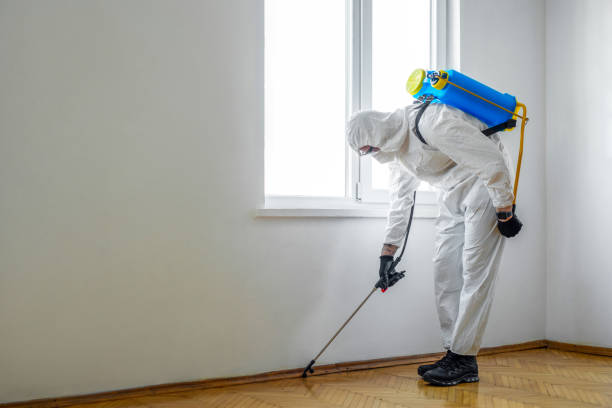 Best Pest Inspection Near Me  in Sarand, AL
