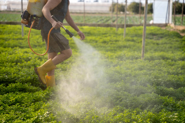 Best Best Pest Control Companies  in Sarand, AL