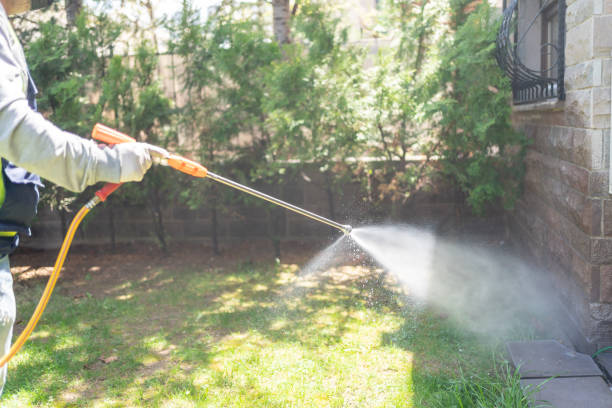 Professional Pest Control in Saraland, AL