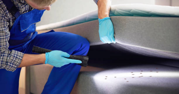 Best Termite Control Services  in Sarand, AL
