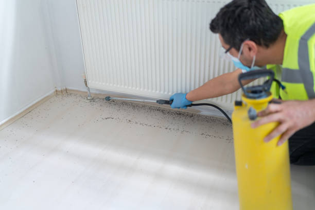 Best Residential Pest Control  in Sarand, AL