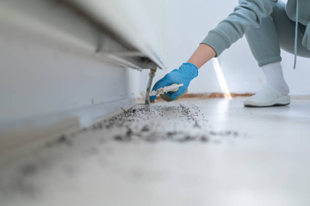 Best Cockroach Control Services  in Sarand, AL